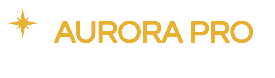 Aurora Pro Window Cleaner