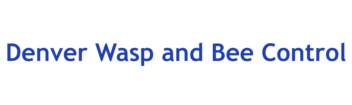 Denver Wasp and Bee Control