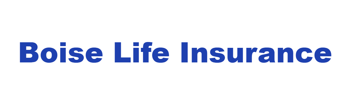 Boise Life Insurance Agent