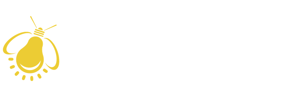 Christmas Lighting Idaho