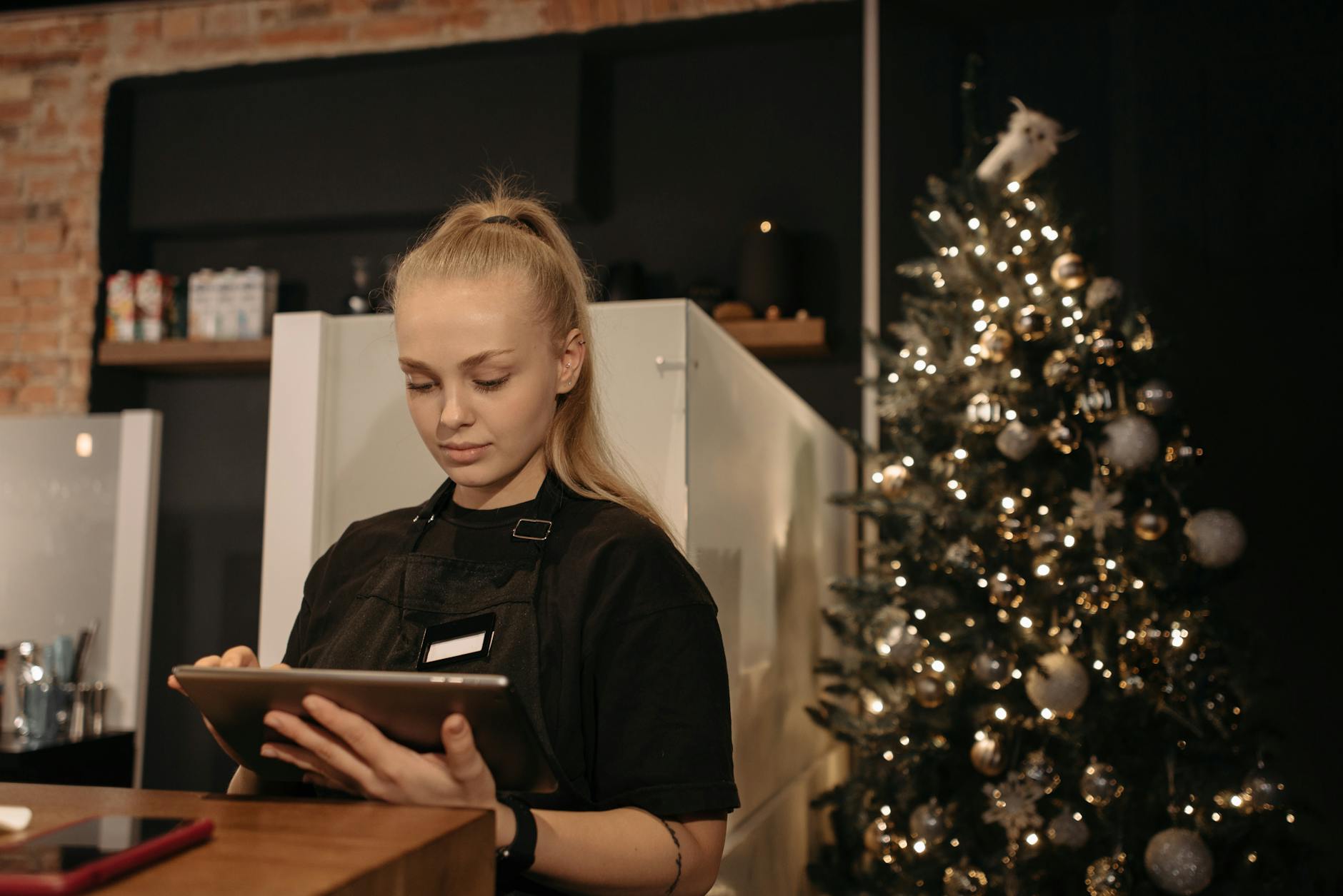 Commercial Christmas Lights Installation Services