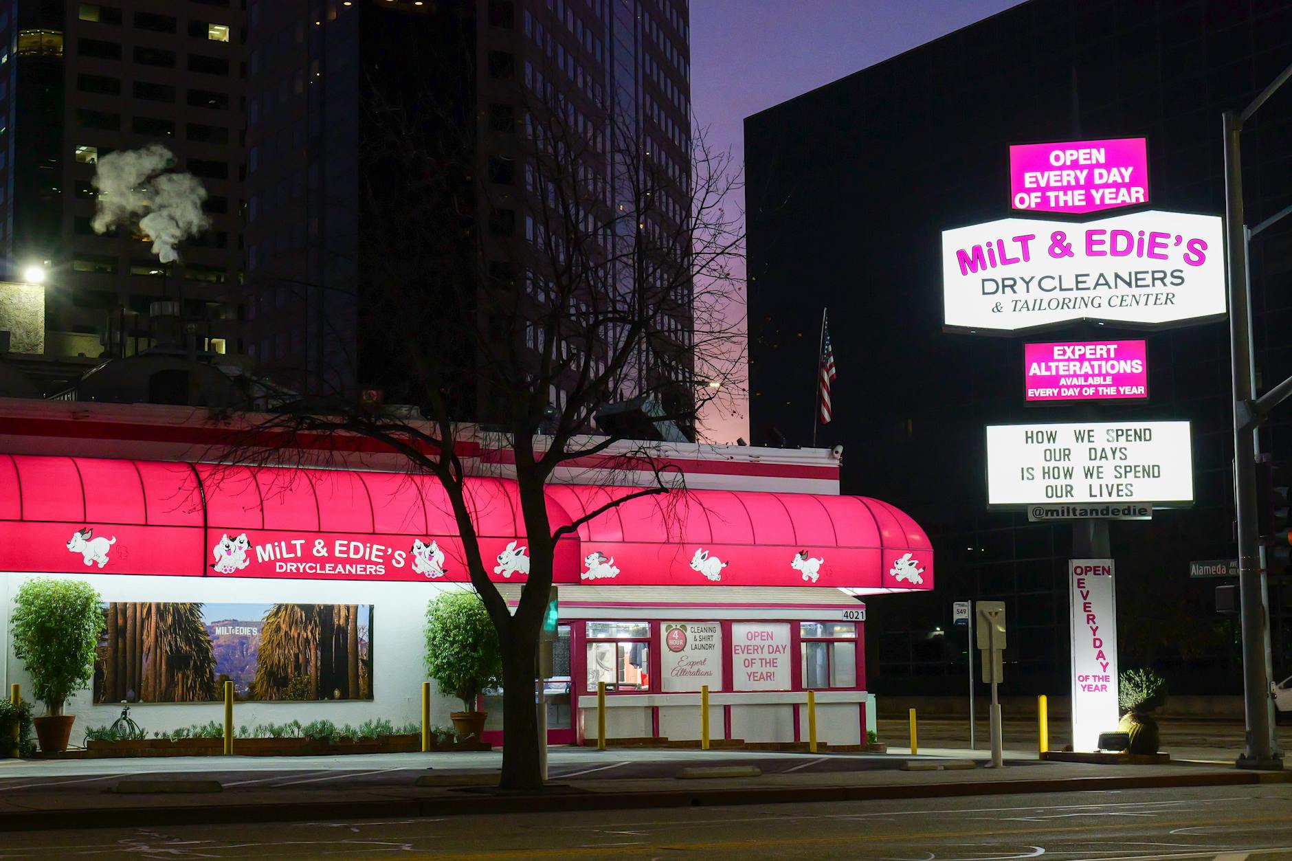 Commercial Holiday Lights Installation Services