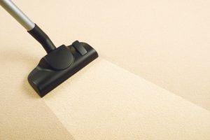 Carpet Cleaning Services