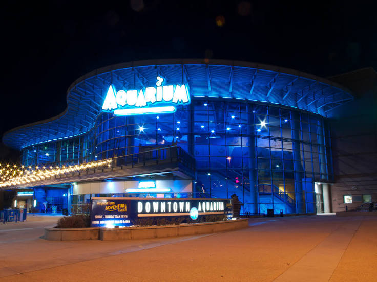 Aquarium in downtown