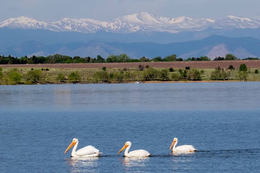 Concrete services Centennial