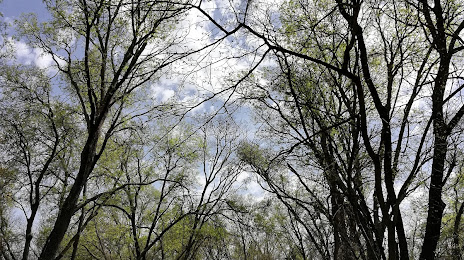 CONCRETE SOLUTION Little Elm, TX