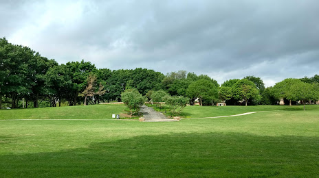 CONCRETE SOLUTION Addison, TX