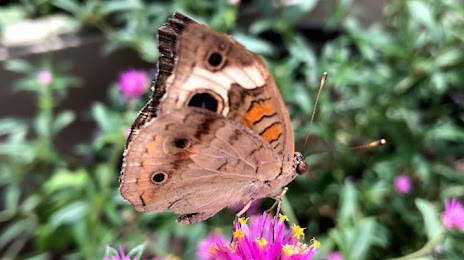 CONCRETE SOLUTION Allen, TX