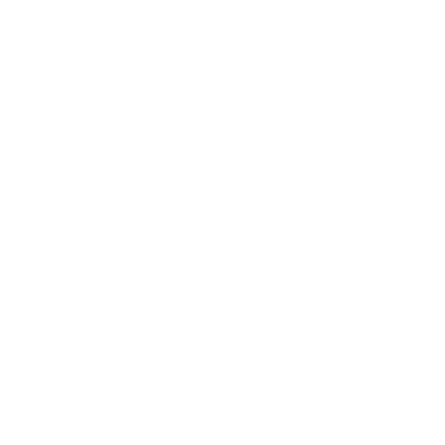 mobile auto detailing Boise ID