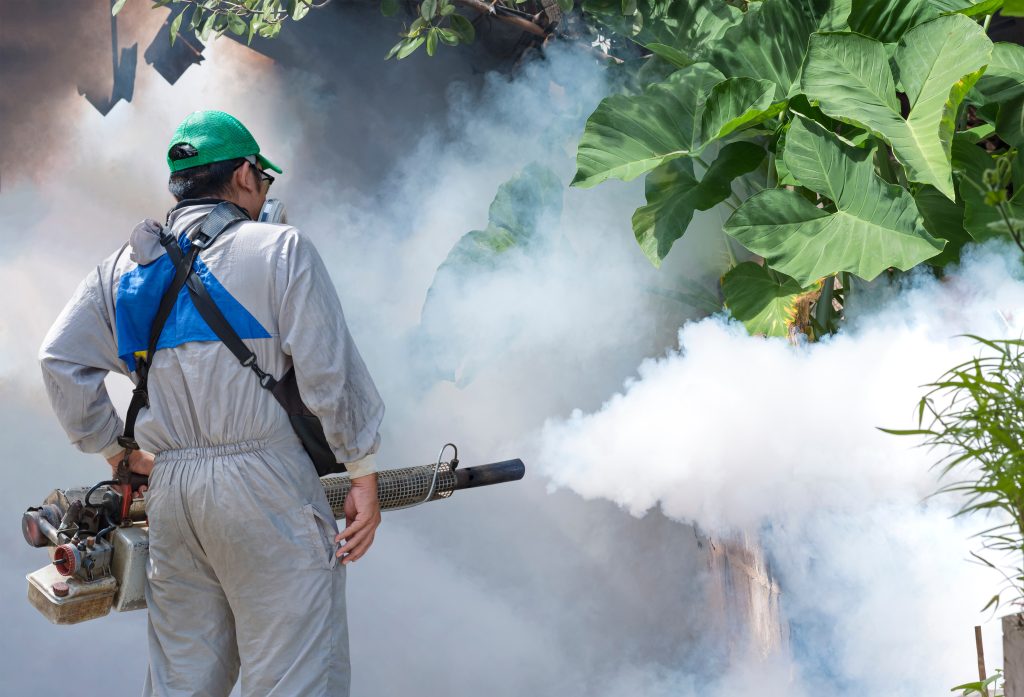 Mosquito Management Charleston