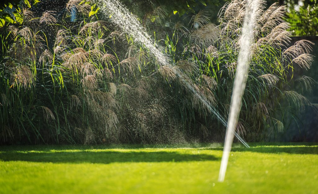 sprinkler system design - Charleston
