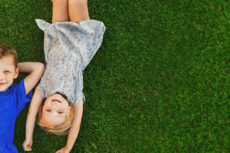 MountPleasantLandscapes_MosquitoManagement1