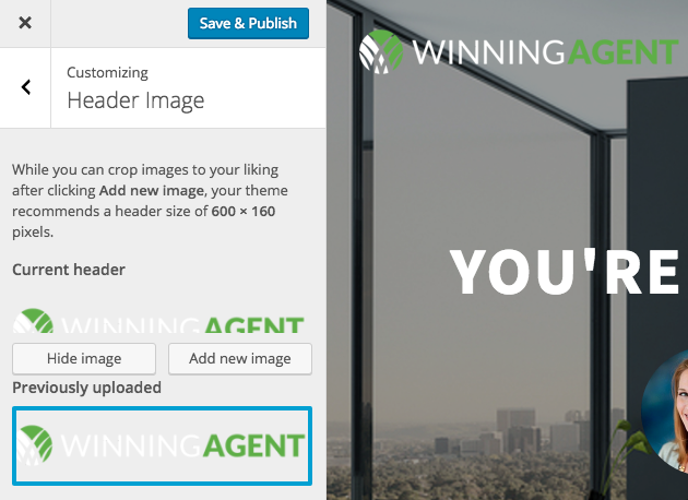 theme customizer for logo in header image