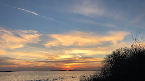 CONCRETE SOLUTION The Colony, TX