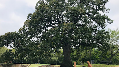 CONCRETE SOLUTION Coppell, TX