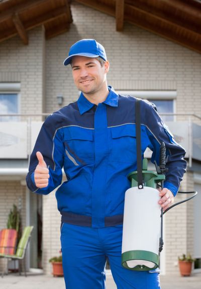 Pest Control in Centennial, CO