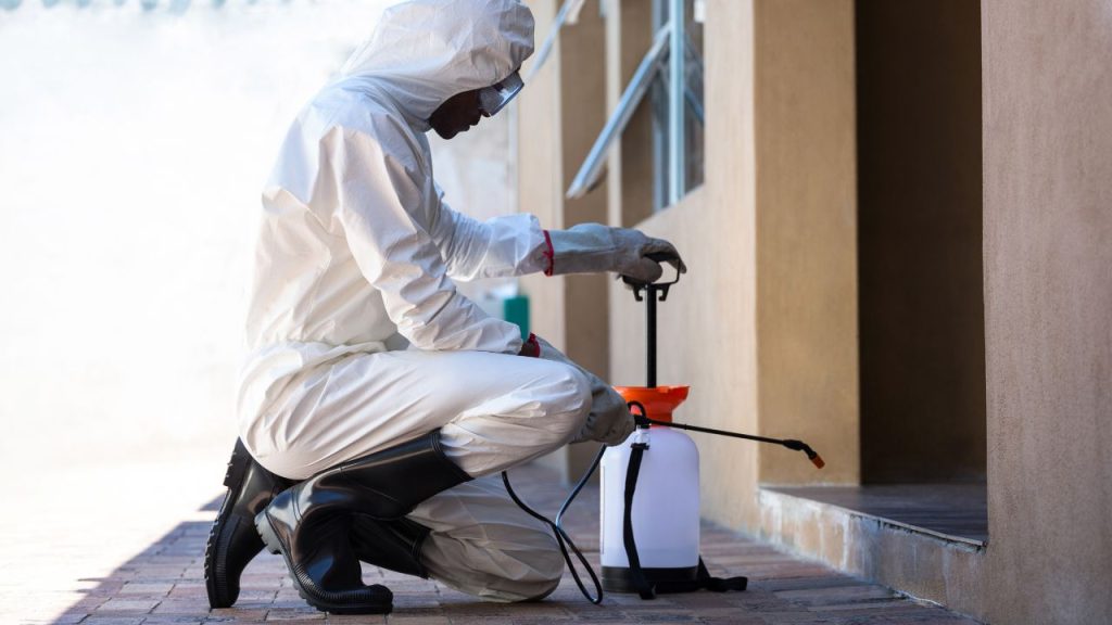 Pest Control in Centennial, CO