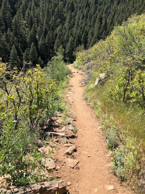 SPRINKLER SYSTEM REPAIR WESTMINSTER, CO