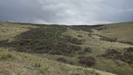 SPRINKLER SYSTEM REPAIR LONE TREE, CO
