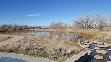 SPRINKLER SYSTEM REPAIR THORNTON, CO